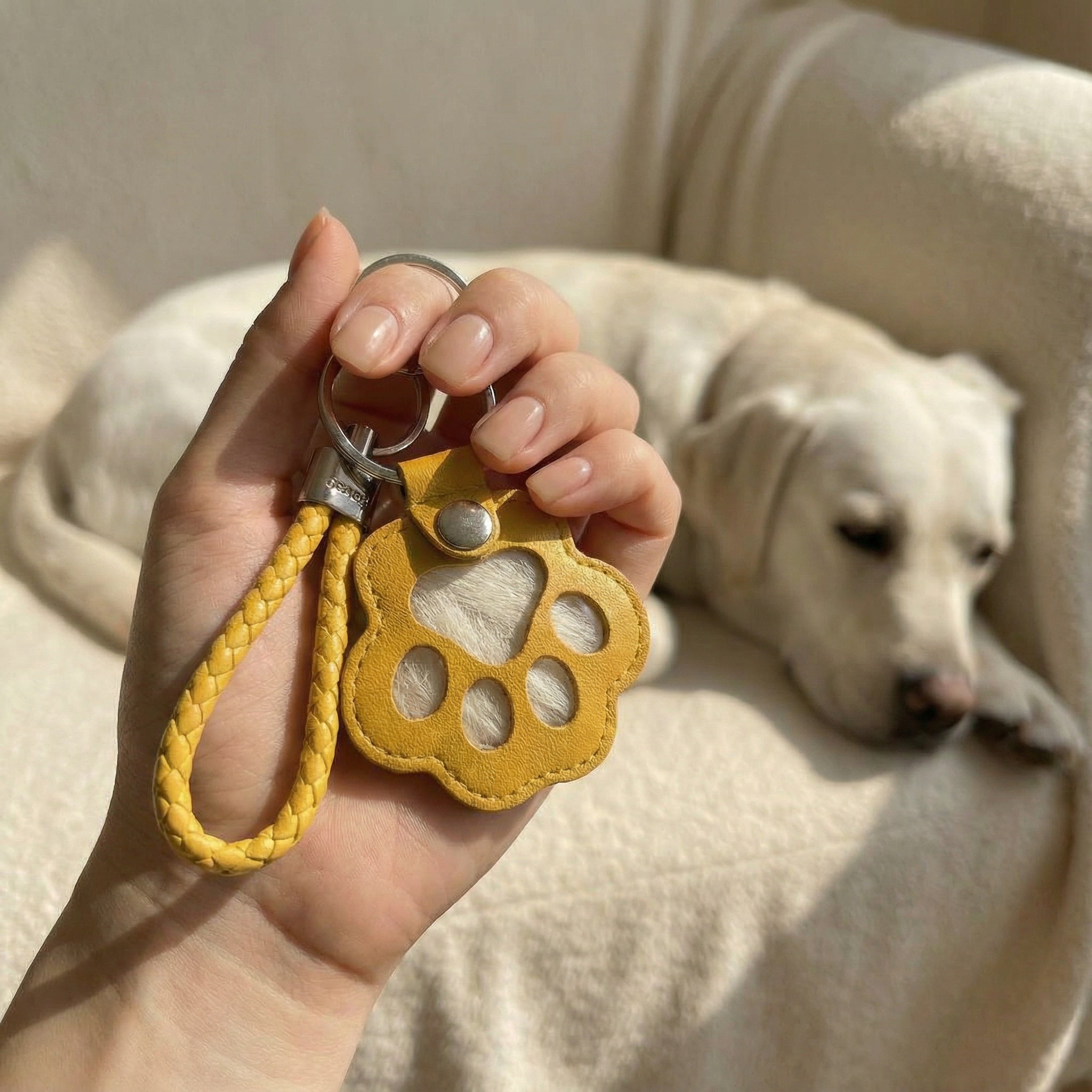 Paw Print Keepsake